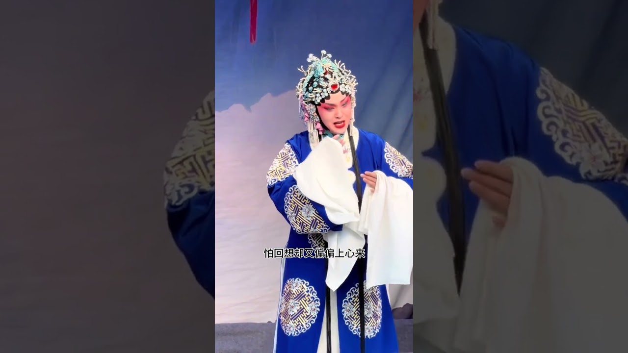 听老爷伤心话语声哀 豫剧名段  河南豫剧院青年团山东演出