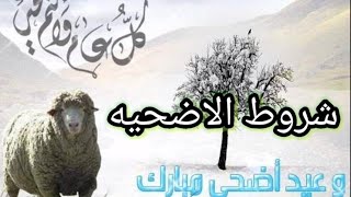 العيد قرب   تعرف على شروط اضحيه العيد