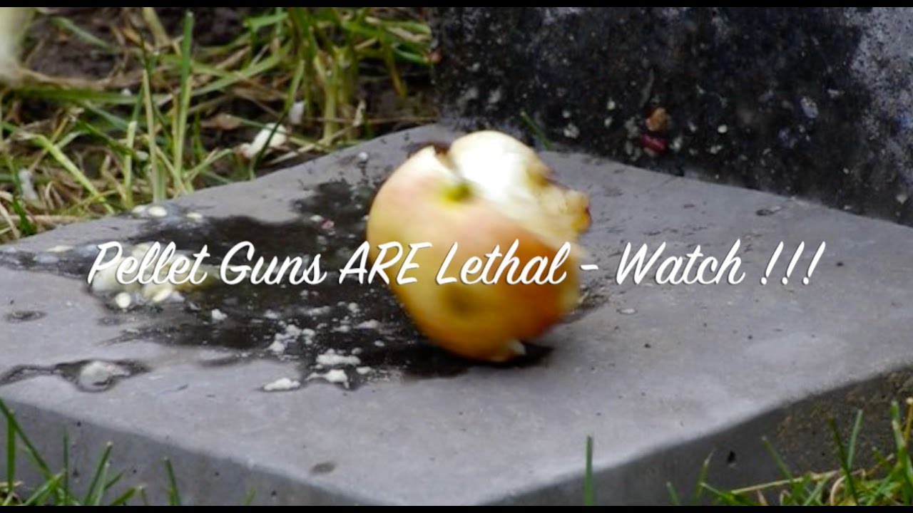 diya tailors How to make a pellet gun shoot 500 fps faster, make your air rifle into a deadly weapon 900+ fps