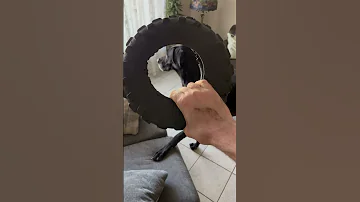 BWA WA WAH Dog Chewtoy 