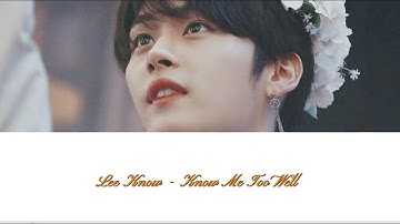 Lee Know - Know Me Too Well (original by New Hope Clup live version) [AI COVER]