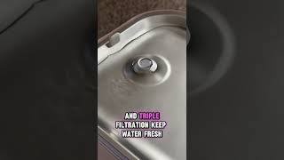 A Cleaner Fountain for Cleaner Drinking