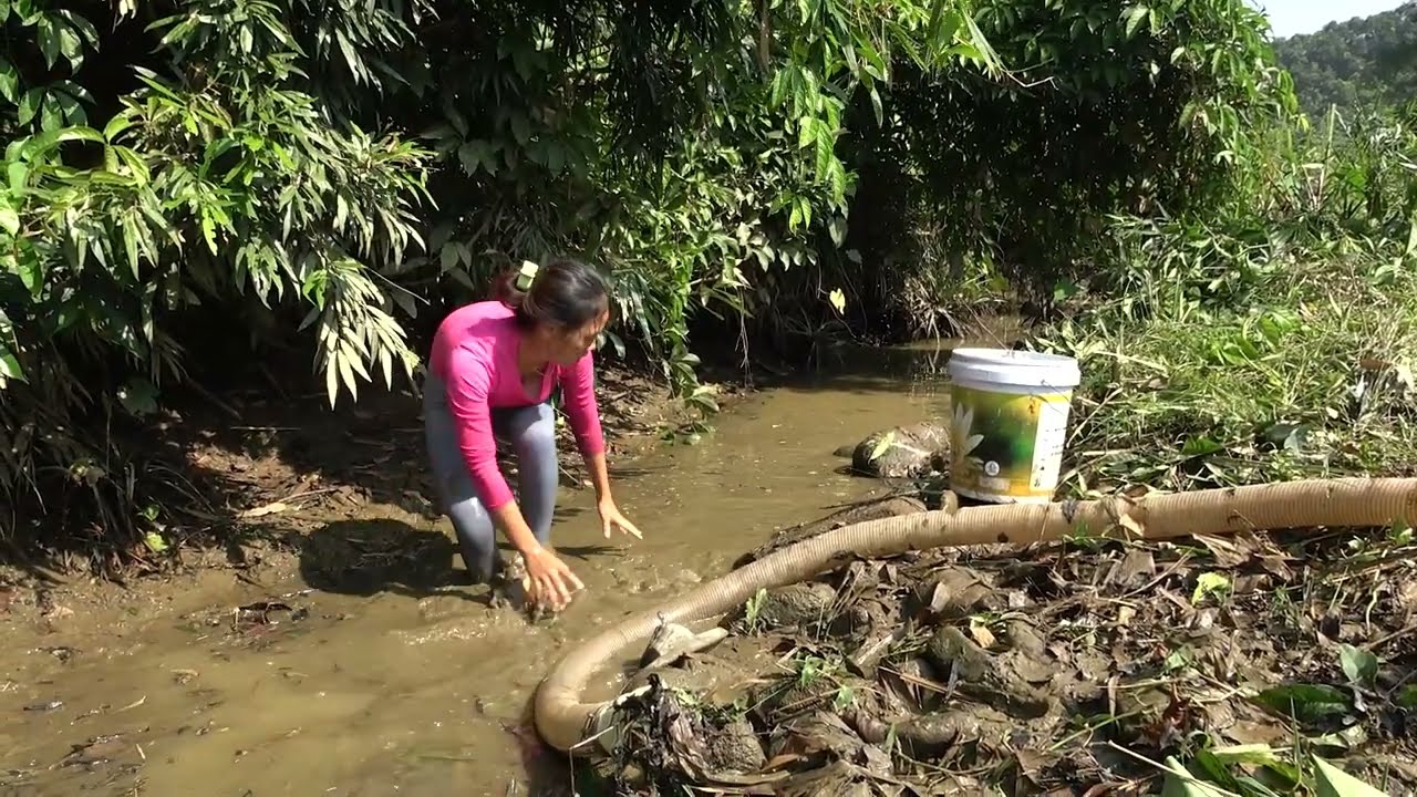 Fishing Techniques | The Girl Use a Pump To Suck Water Out Of The Lake ...