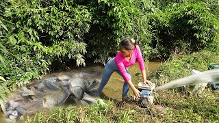 Fishing Techniques | The Girl Use a Pump To Suck Water Out Of The Lake, Harvesting Many Big Fish