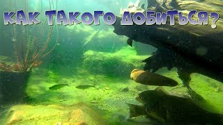 ПРОЗРАЧНАЯ ВОДА В ВАШЕМ ВОДОËМЕ, ОЧЕНЬ ПРОСТО!!!. ЭФФЕКТИВНЫЙ ПРЕПАРАТ ДЛЯ УСТРАНЕНИЯ МУТИ.