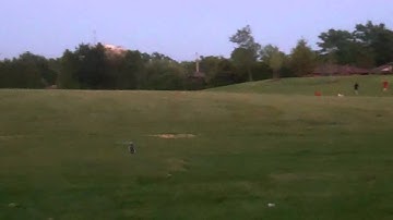 blade mcpx ,ong and low invertS