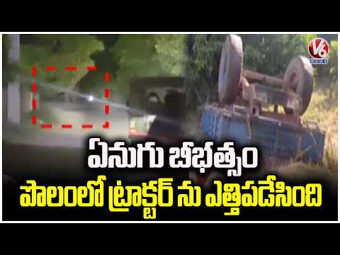 Elephant Hulchul In Tirupati District | V6 News - V6NEWSTELUGU