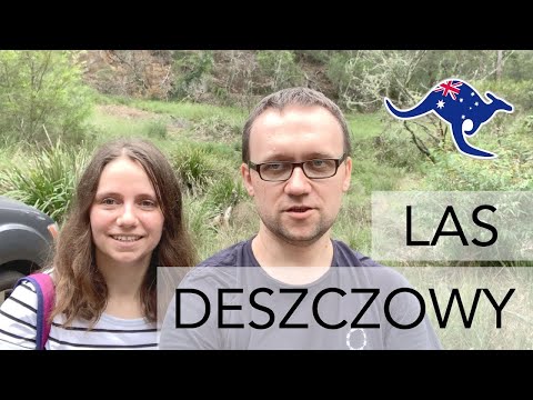 Wideo: 13 Znaków, że Dorastałeś W Sydney W Latach 80. - Matador Network