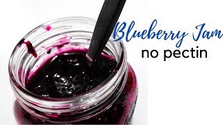 NO PECTIN BLUEBERRY JAM