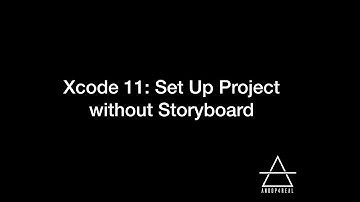 Xcode 11: Set Up Project without Storyboard  (Swift / Objective C)