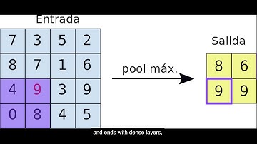 Design of a convolutional neural network architecture to classify banana diseases