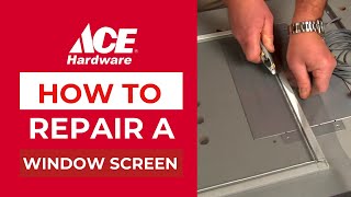 How To Repair a Window Screen | Ace Hardware