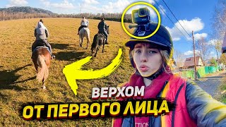 VLOG с полей ОТ ПЕРВОГО ЛИЦА верхом