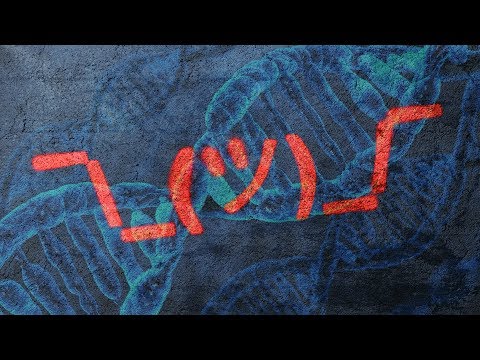 Это не я, это всё гены. Как поступки зависят от наследственности?