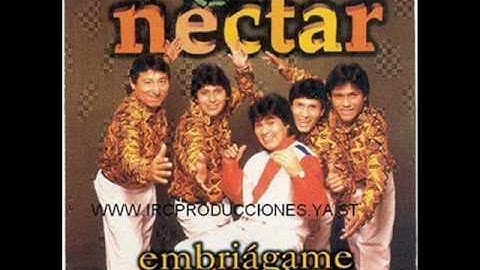 Corazoncito - Grupo Nectar