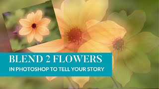 Let's Blend Two Flowers Together in Photoshop screenshot 3