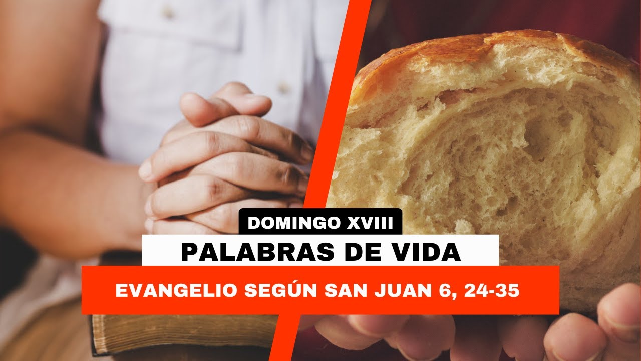 03-08-24PDV - Evangelio según San Juan 6, 24-35. Domingo XVIII del