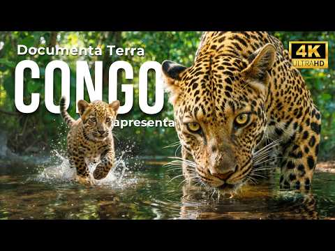 CONGO | O Reino dos Gorilas e o Rio Mais Profundo do Planeta | DOCUMENTÁRIO 4K