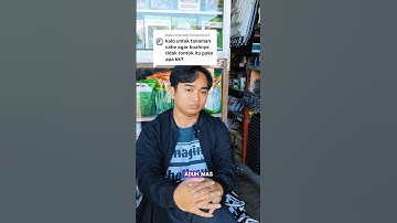 Kekurangan unsur kalsium bisa menyebabkan bunga dan buah menjadi rontok #benihonline