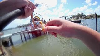 Urban Fishing The Burnett River With Soft-Plastics Boofbite Fishing