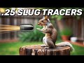 Are slugs better for squirrels