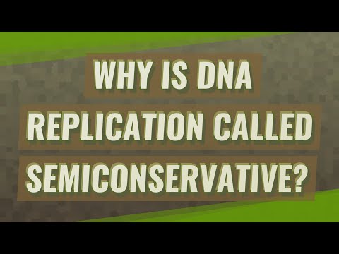 Why Is The Replication Of Dna Called Semiconservative 25