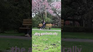 cherry blossom bench review  #benchreview  #funny #comedy #vlog #funnyshorts #irl #subscribe