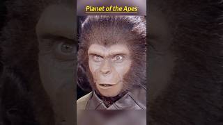 🦍 Planet of the Apes (1968) | Taylor Escapes but Faces a Horrifying Discovery 😱🔥