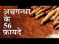 अश्‍वगंधा के 56 फ़ायदे || 56 SUPER benefits of Ashwagandha by puneet biseria