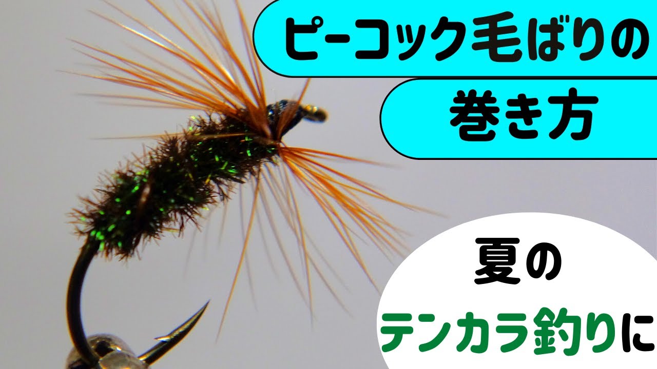 テンカラ釣り ピーコック毛ばり巻き方 Youtube