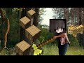 Foraging is Now Fixed, But There is More... (Hypixel Skyblock)