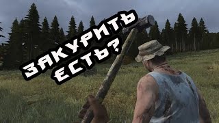 Раз в год (DayZ)