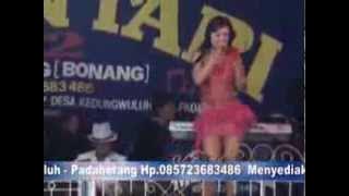Oplosan dangdut kendang padaherang sinar mentari