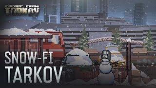 Snow-fi Tarkov