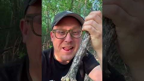 AMAZING UV LIGHT MULTI GEOCACHE! #Shorts