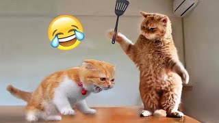 Funniest Animals 😄 New Funny Cats and Dogs Videos 😹🐶 - Happy Animals