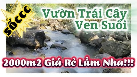 (ĐÃ BÁN) SỐCCC! Vườn Trái Cây Ven Suối - Nở Hậu - Giá Cực Rẻ | ĐẤT VƯỜN ĐỒNG NAI GIÁ RẺ