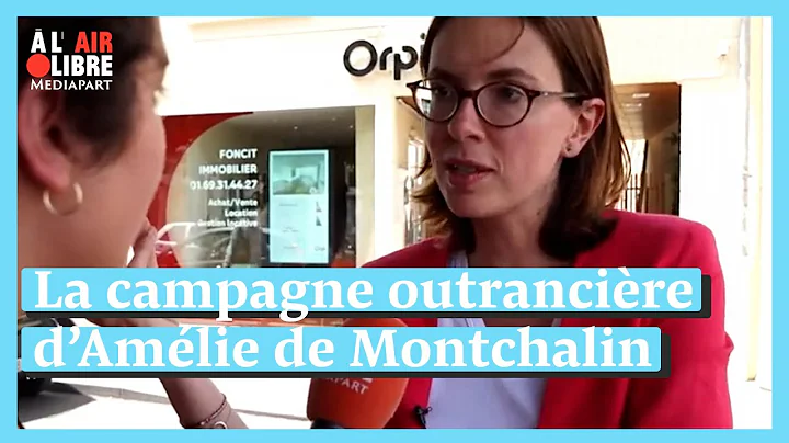 En Essonne, la campagne outrancire dAmlie de Montc...