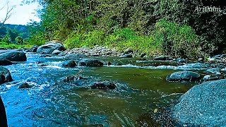 Babbling Brook Ambience – Soothing Water Flow for Sleep & Mental Relaxation #170 screenshot 2