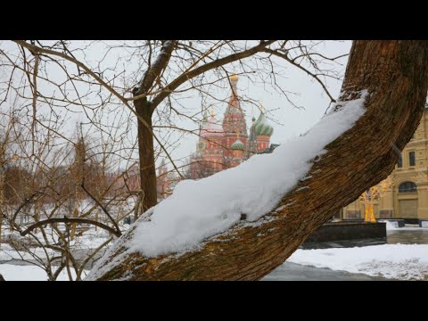 Метели накрыли Москву и область. Высота сугробов приближается к отметке в 10 сантиметров