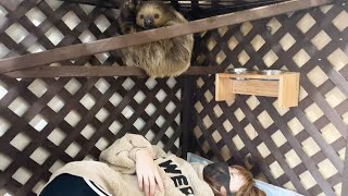 ナマケモノと一緒に寝る女性が未だかつていただろうか・・・？