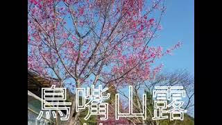 【79】鳥鵝縱走2019.3.1