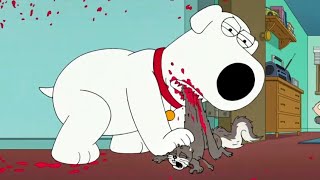 Family Guy  Brian kills Squirrel 700% slower