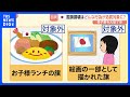 「お子様ランチの旗」は対象外… 国旗損壊罪の骨子案を自民プロジェクトチームが大筋了承　対象となる「旗」は？行為は？｜TBS NEWS DIG