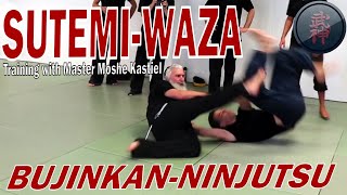 Sutemi - Use of Yoko Nagare - Bujinkan-Ninjutsu with Moshe Kastiel