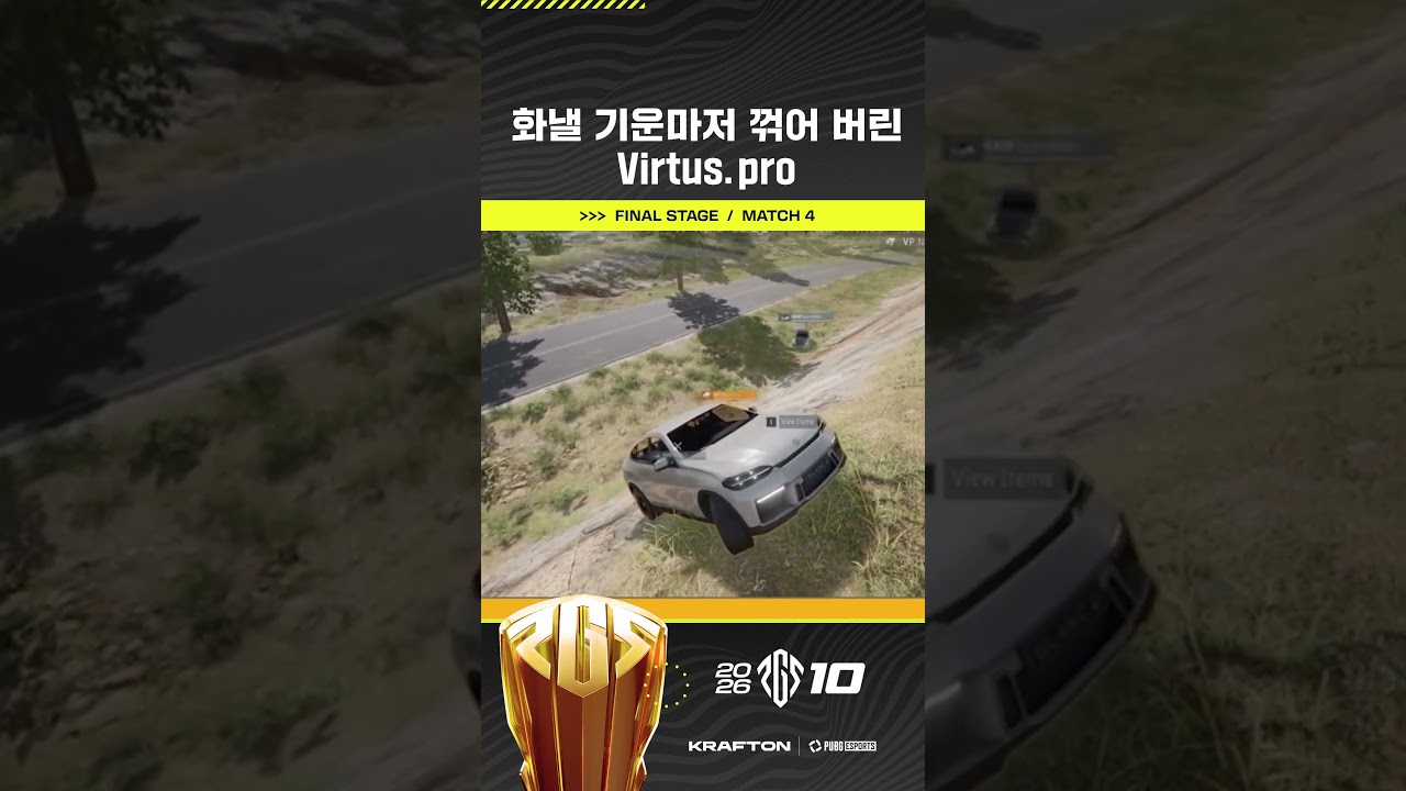 네 남자의 분노까지 잠재운 곰의 습격 🐾 Virtus.pro