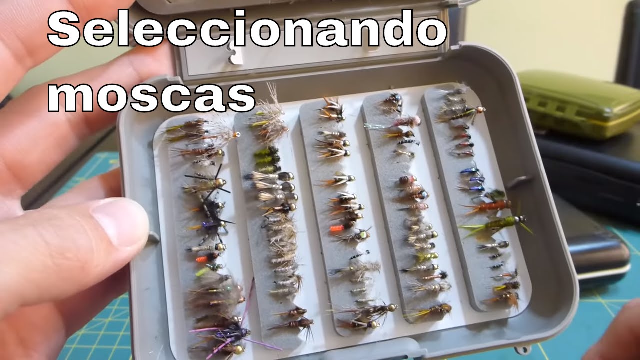 Seleccionando moscas