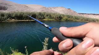 Pesca Rio Salado Chile  (Recopilación Piques de Truchas N°2 )