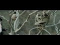 Bone tomahawk  official trailer 1 2015