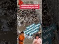 Extreme cleaning, Steve West and Team, Brisbane 0413 065 815